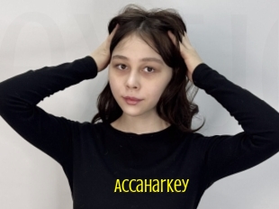 Accaharkey