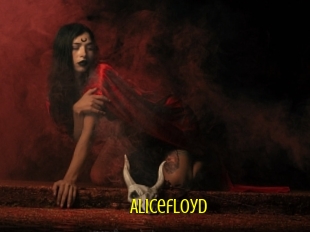 Alicefloyd