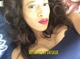 Aminabordeaux