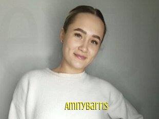 Amitybarris