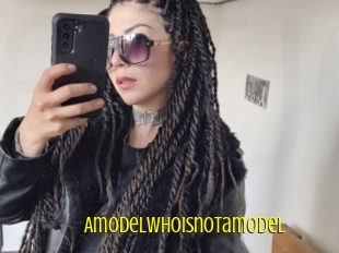 Amodelwhoisnotamodel