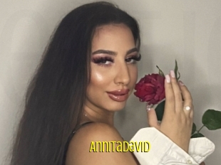 Annitadavid