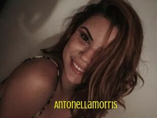 Antonellamorris