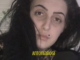 Antoniabogi