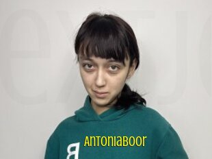 Antoniaboor