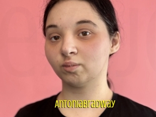 Antoniabradway