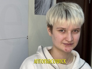 Antoniacowick