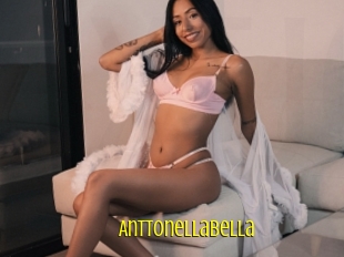 Anttonellabella