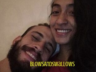 BlowsAndSwallows