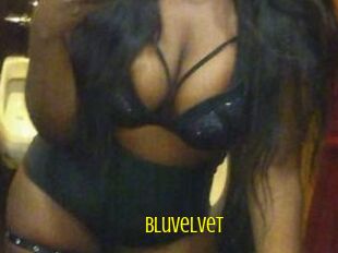 Bluvelvet