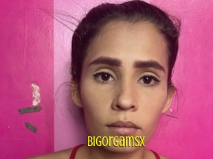 Bigorgamsx