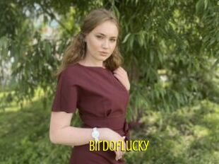 Birdoflucky