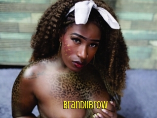 Brandiibrow