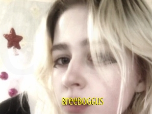 Breeboggus