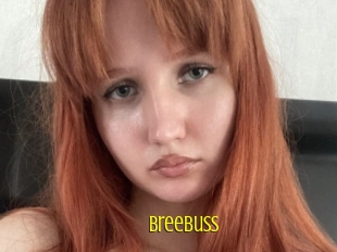 Breebuss