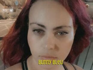 Bunny_bleu