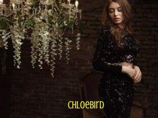 ChloeBird