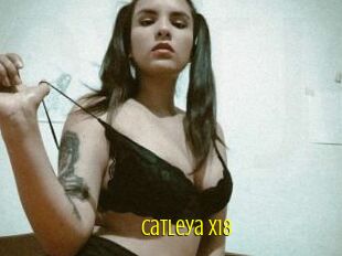 Catleya_x18