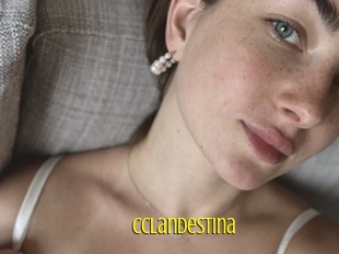 Cclandestina