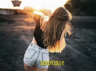 DaisyColle