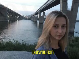 Daisybufkin