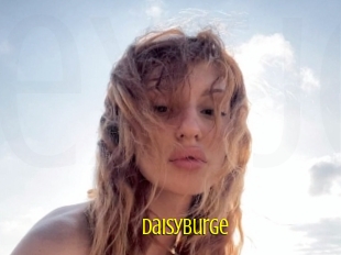 Daisyburge