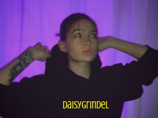 Daisygrindel