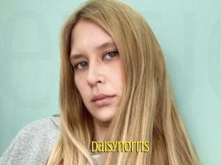 Daisynorris