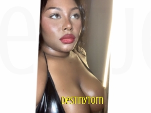 Destinytorn