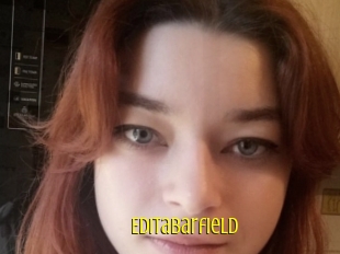 Editabarfield