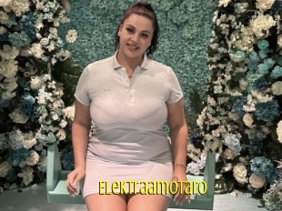 Elektraamotaro