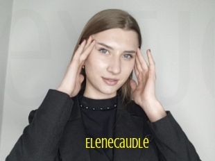 Elenecaudle