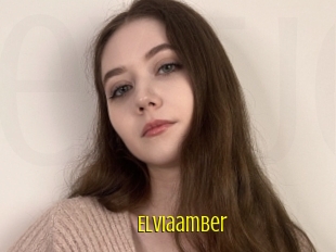 Elviaamber