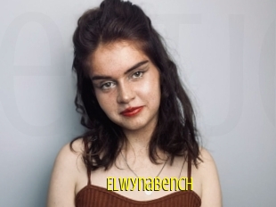 Elwynabench