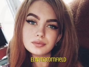 Elwynacornfield