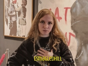 Esmagledhill