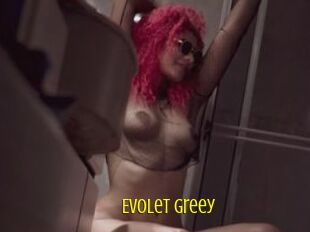 Evolet_greey