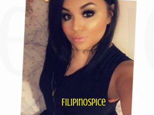 FilipinoSpice