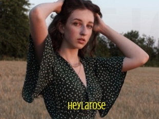 Heylarose