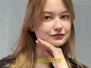 Hollisflynt