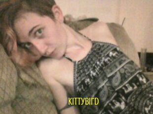 KittyBird