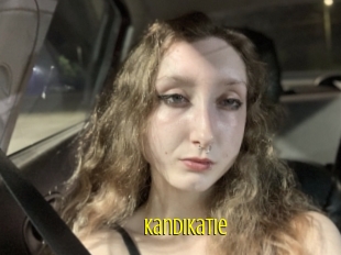 Kandikatie