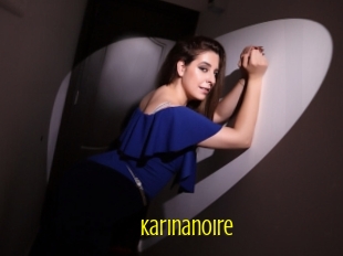 Karinanoire