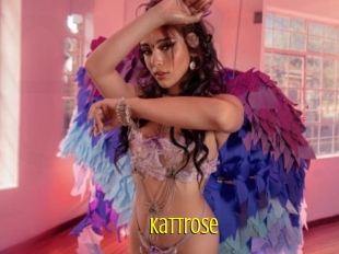 Kattrose