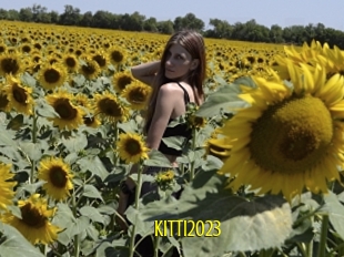 Kitti2023