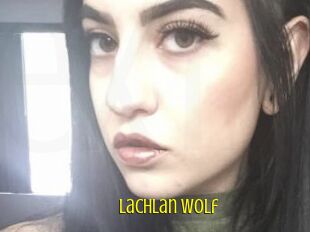 Lachlan_Wolf