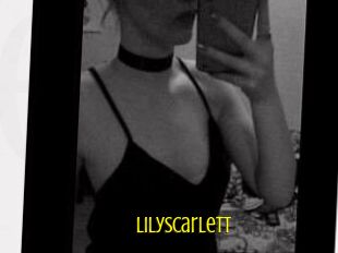 Lily_Scarlett