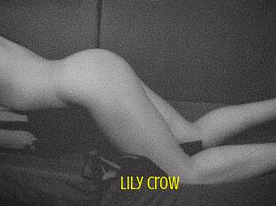 Lily_Crow