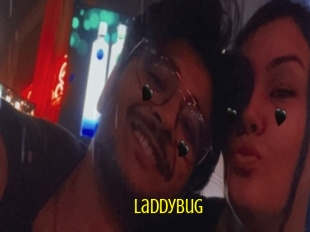 Laddybug