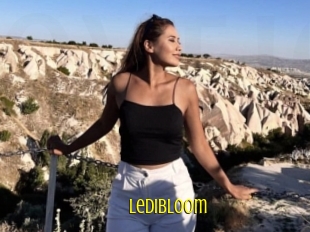 Ledibloom